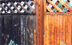 cedar fence restoration