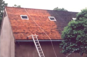 cedar roof restoration